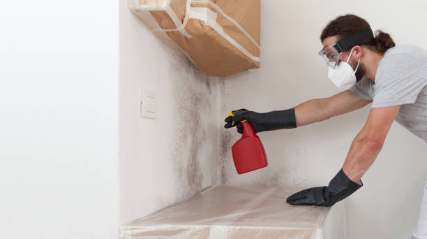 Professional Crawl Space Mold Remediation technician working in Irvona, PA